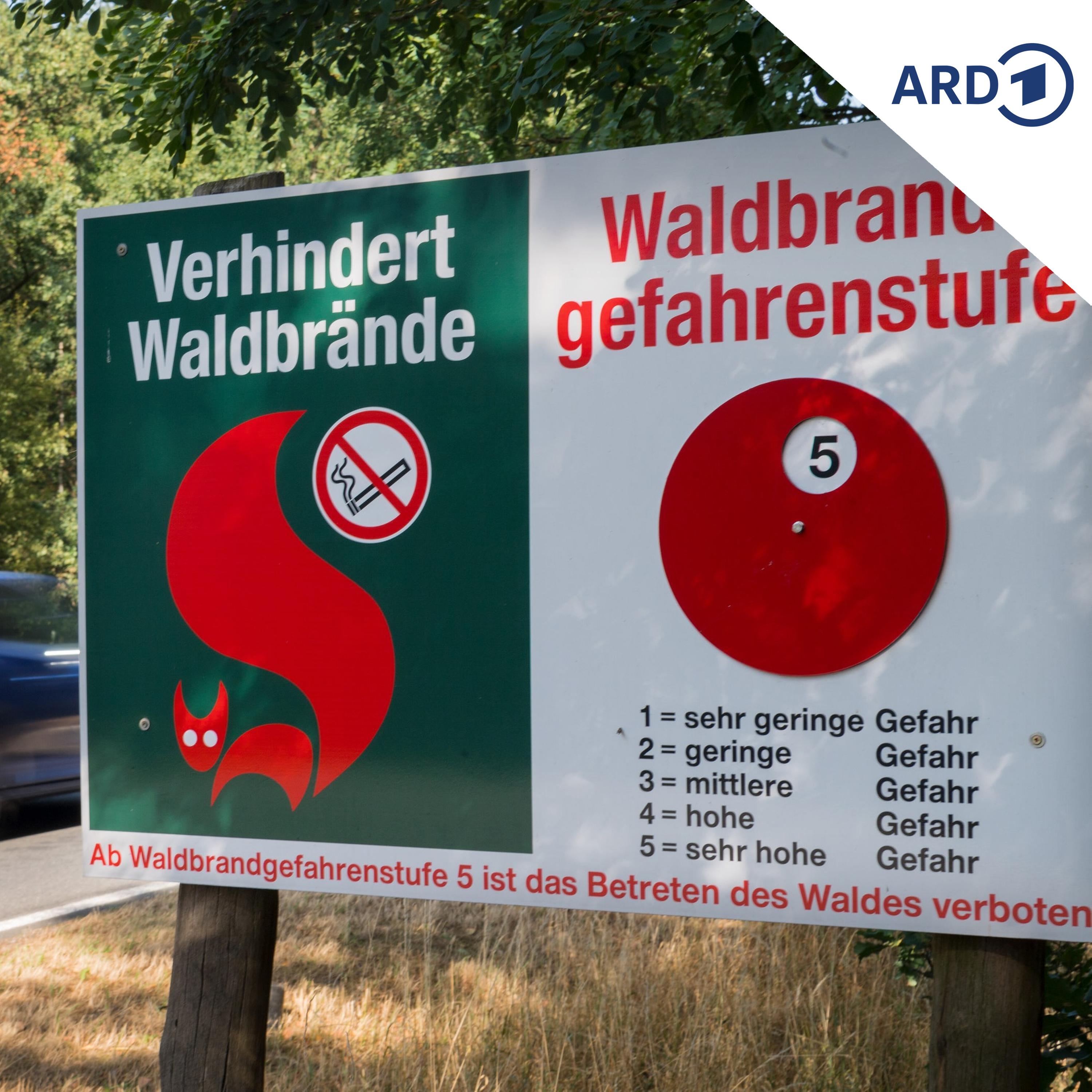Die Nachrichten des Tages vom 27.05.2026