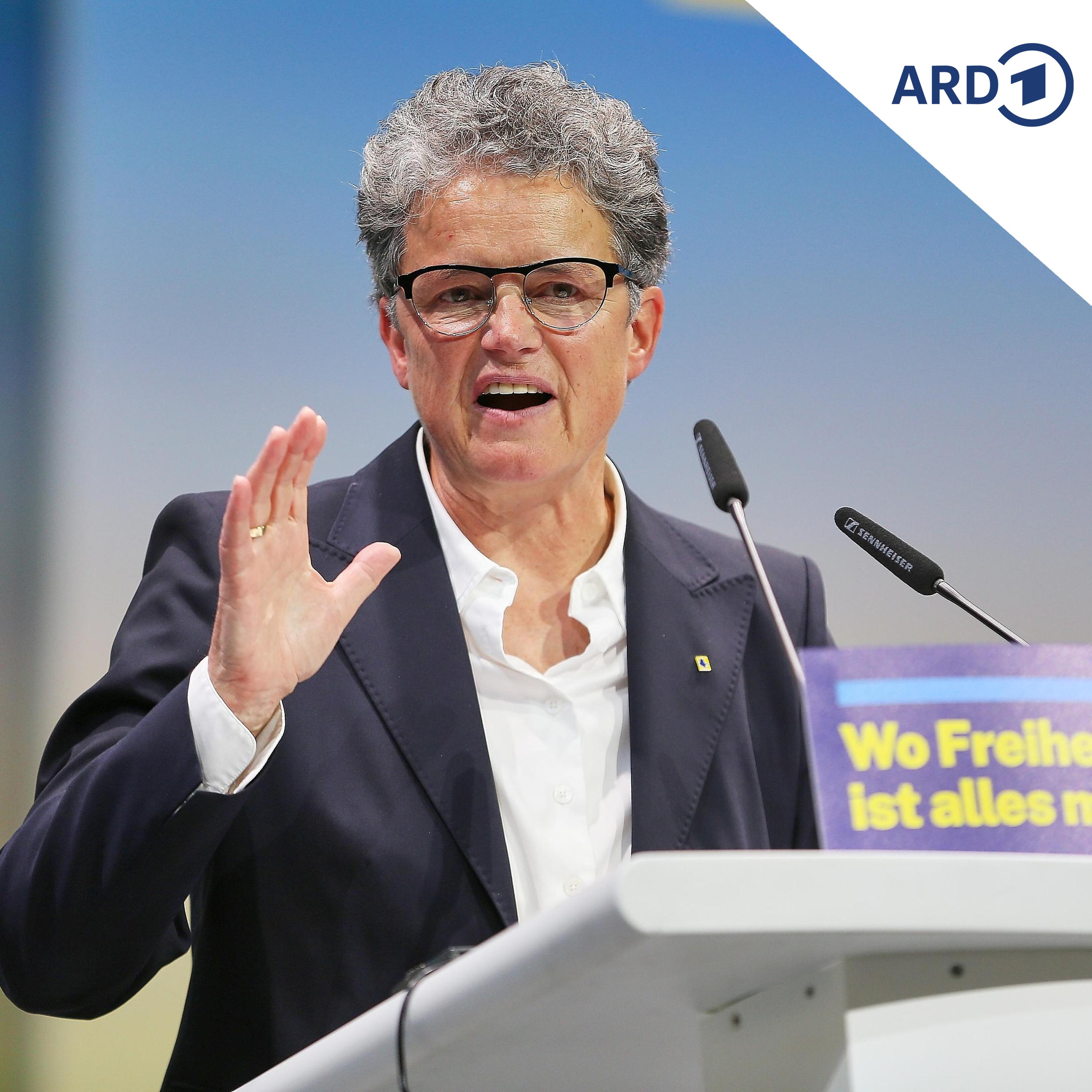 Hüskens: FDP hat klare Meinung zum Umgang mit der AfD episode artwork