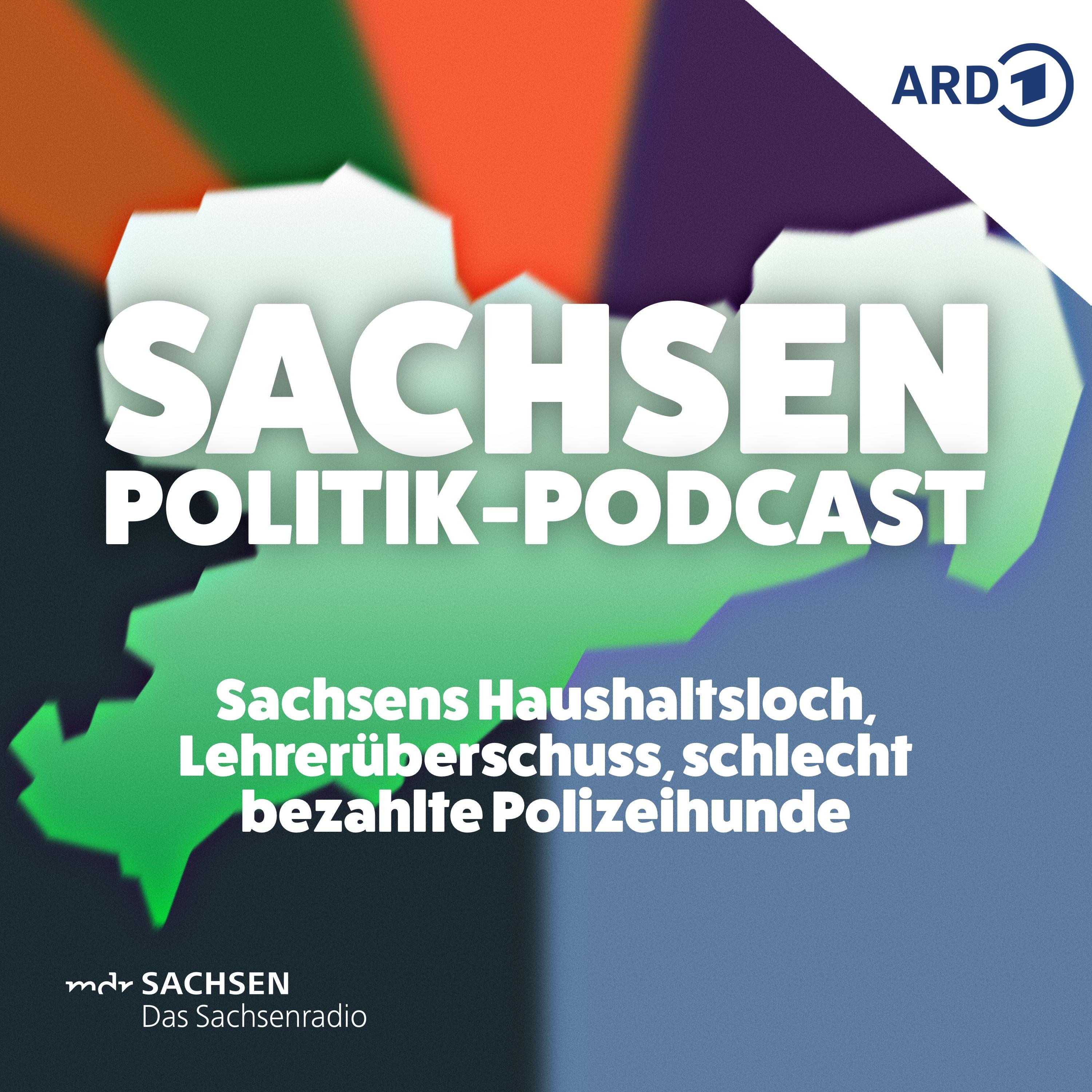 Sachsens Haushaltsloch, Lehrerüberschuss, schlecht bezahlte Polizeihunde episode artwork