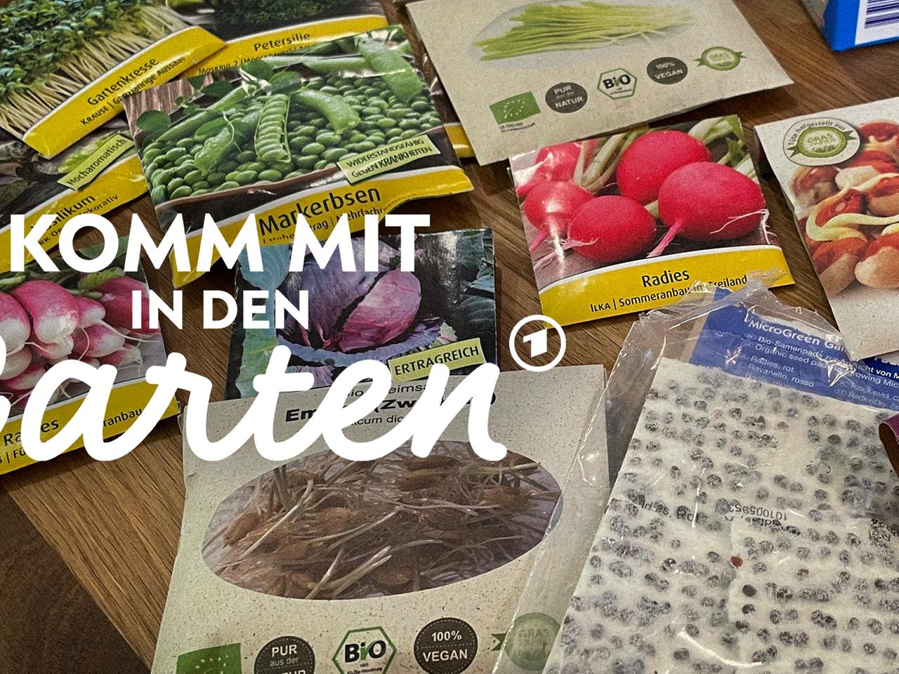 Saatgut aussuchen und richtig lagern | mdr.de
