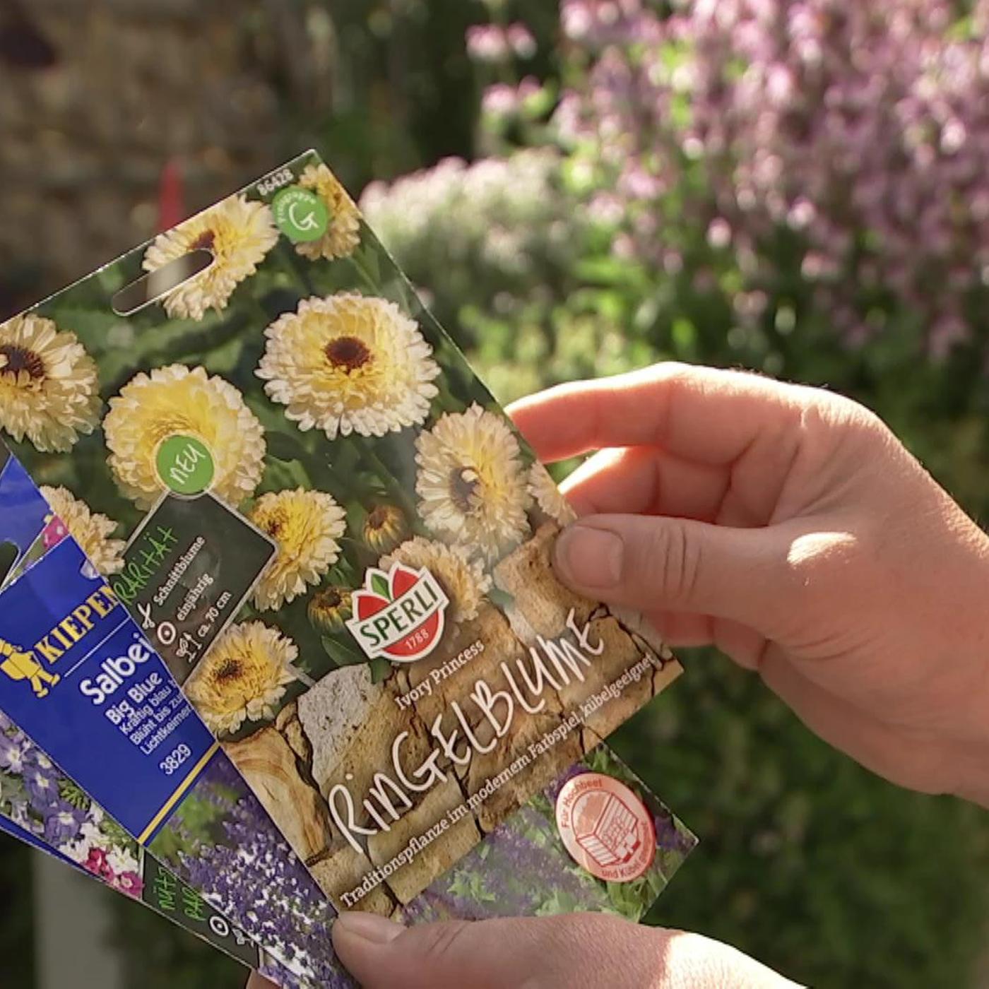 bienenfreundliche pflanzen saatgut Geschenk-Set Bienenretter online Gartenpflanze kaufen main image 1