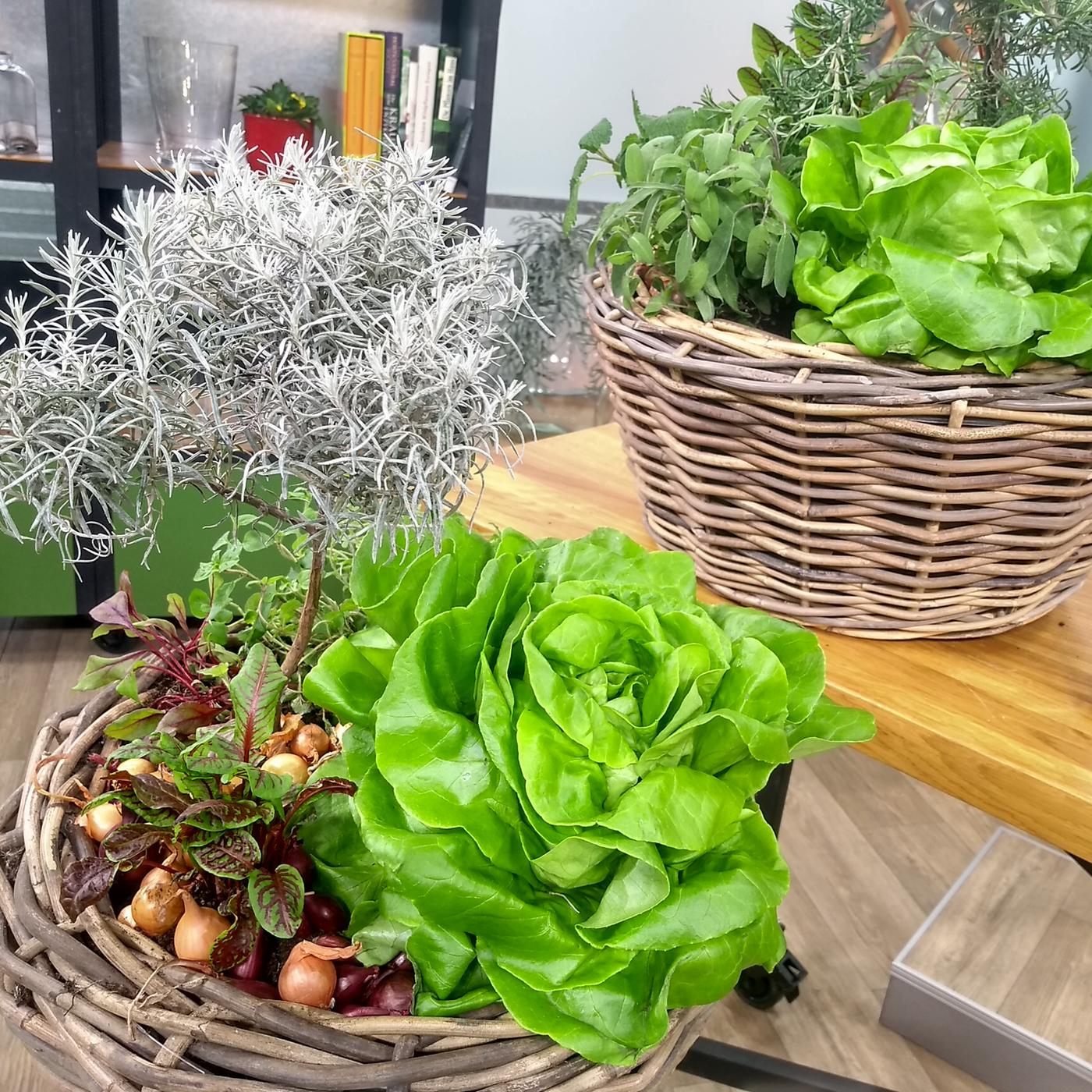 blumenkästen aufhänger Ratolla Case Balkonkasten mit Aufhängung Blumenkasten Blumentopf mit H –  Euroelectronics DE