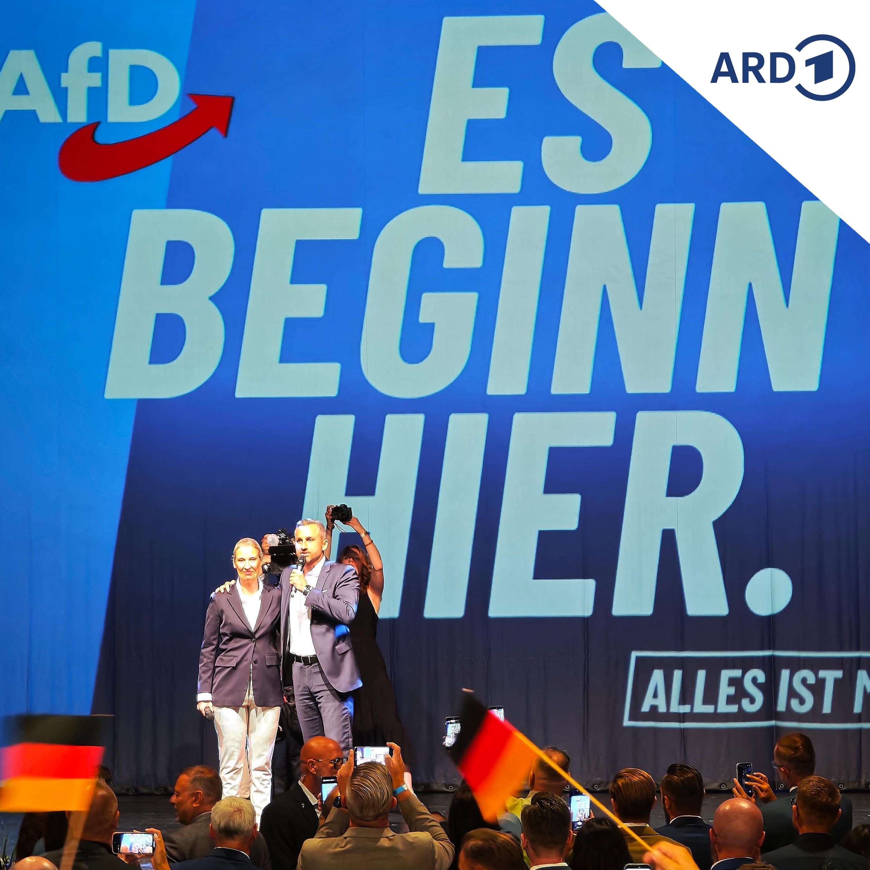 AfD verpasst absolute Mehrheit, BSW drin episode artwork