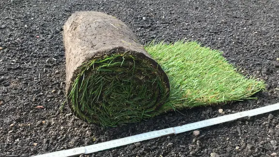 trauben pflanzen düngen ProviPlant Weinreben-Dünger: Für alle Weinrebengewächse (Vitaceae) main image 1