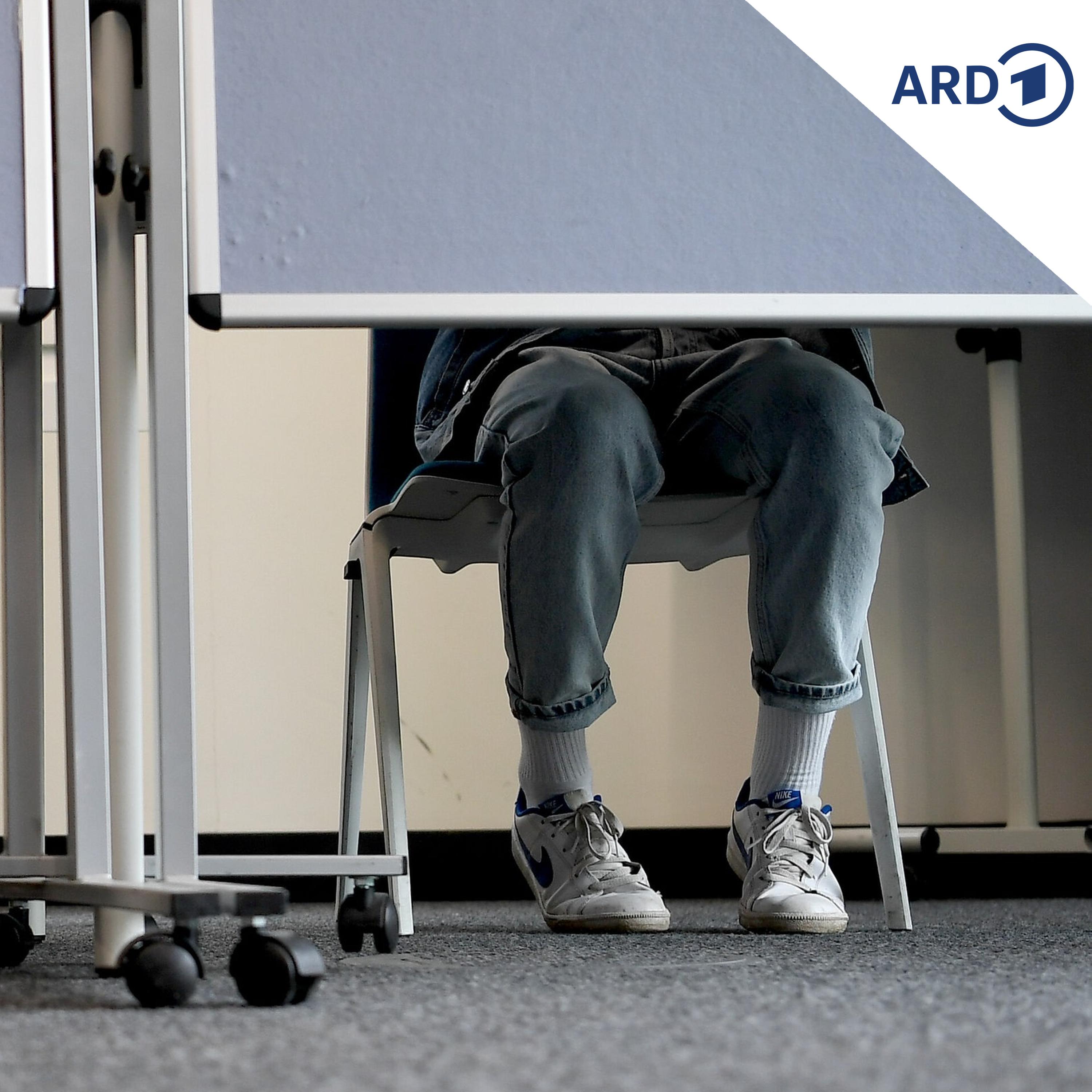 Wie man die Wahlmotivation junger Menschen fördern kann episode artwork