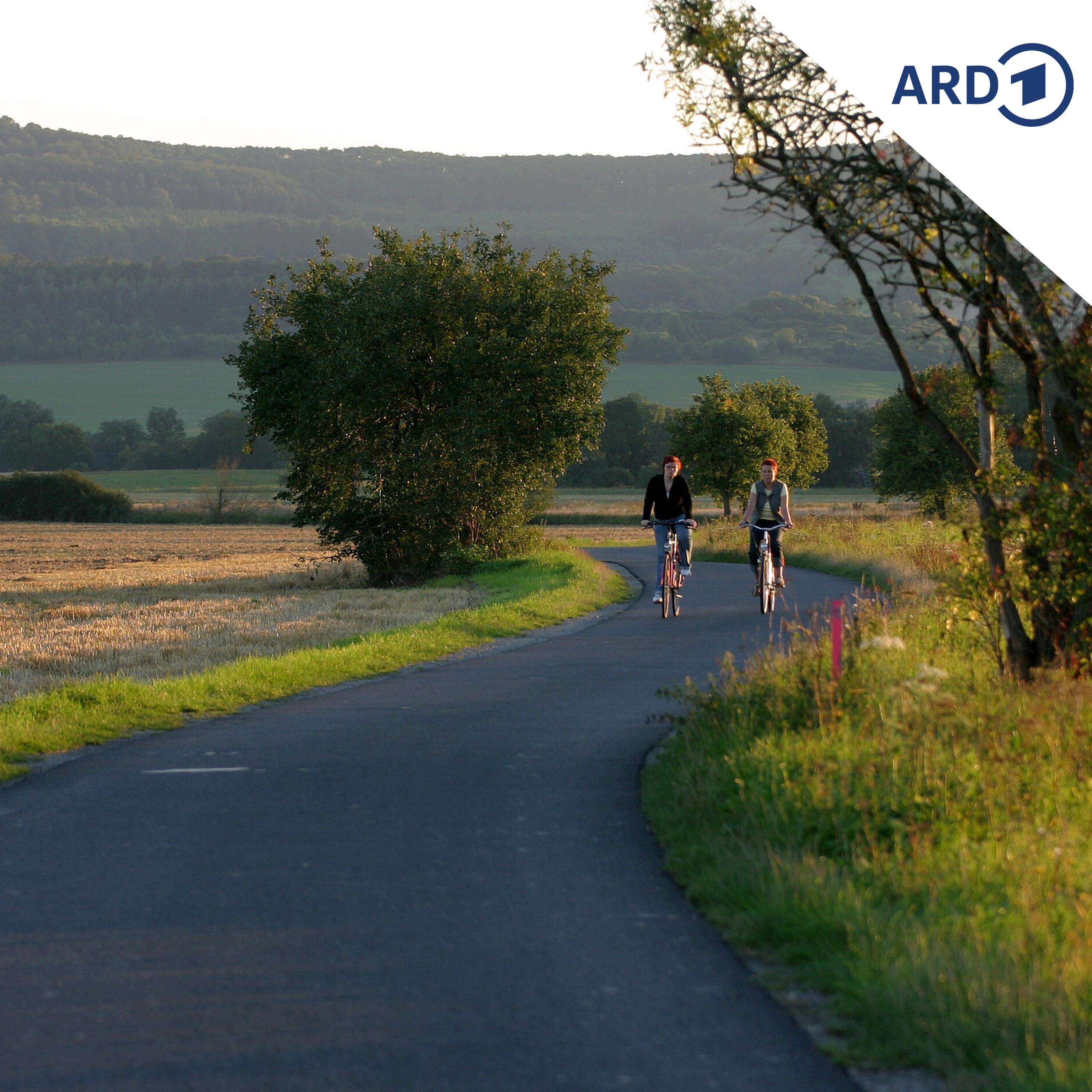 Radfahren in Thüringen: Keine Erfolgsgeschichte episode artwork