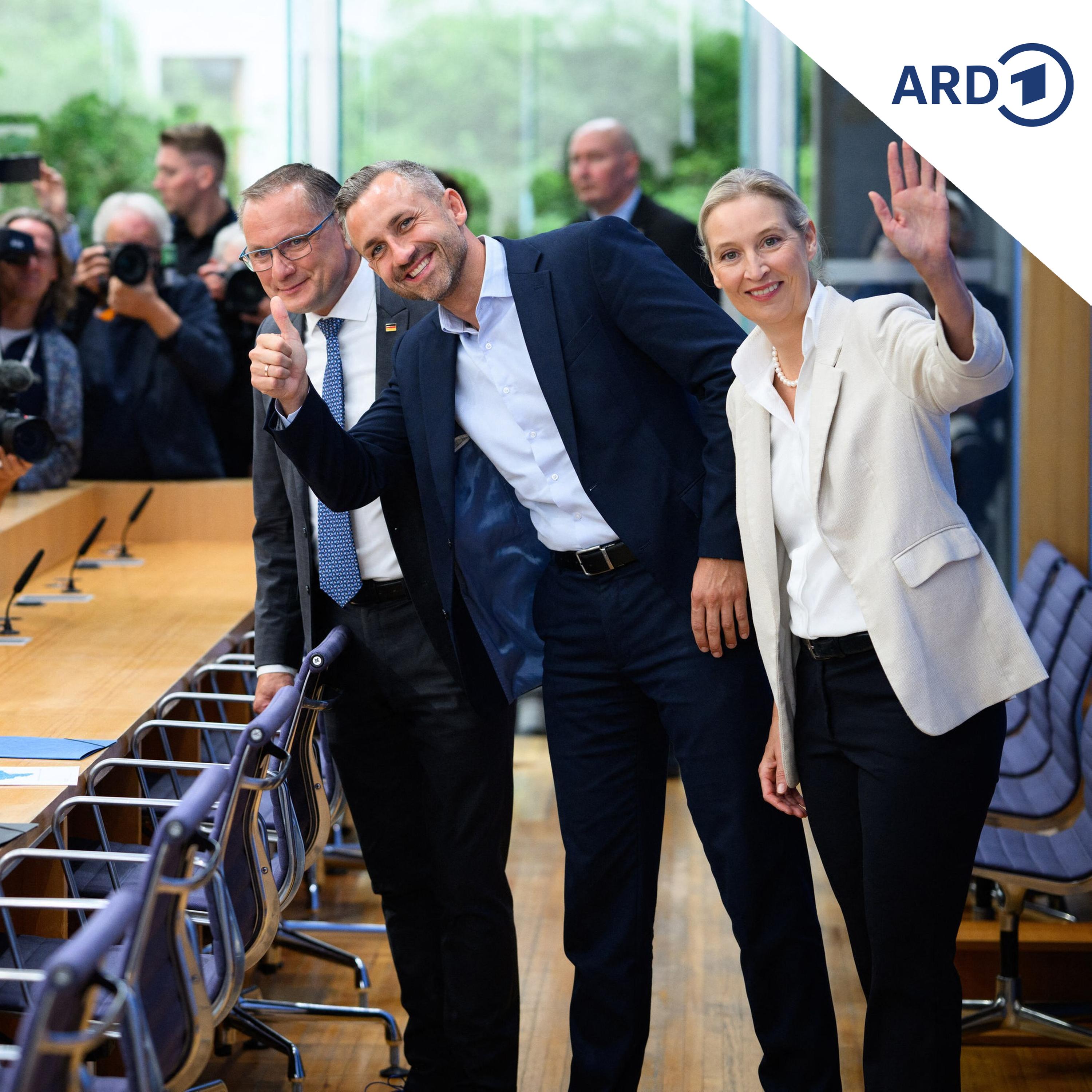 AfD-Wahlsieg: Das Playbook der Rechtspopulisten episode artwork