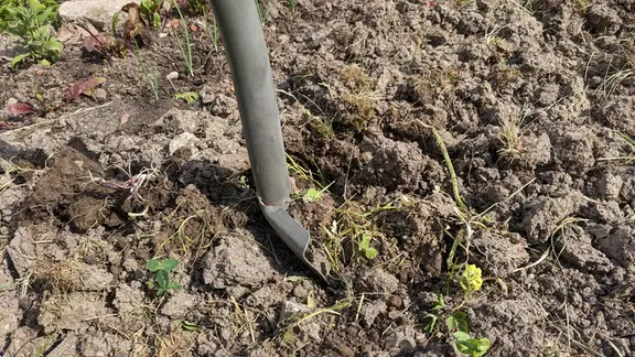 rosen organisch dngen Gartencoach Rosendnger 5 kg  Nhrstoffe fr gesunde Rosen & langanha   Der Gartencoach