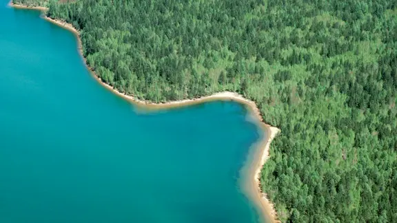 Luftbild Uferlinie des Baikalsees: türkisblause Wasser und dichter Wald von oben gesehen