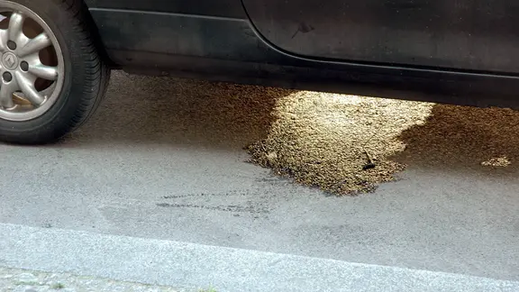 Ein schwarzer Kleinwagen der Marke Renault steht am Straßenrand und unter dem PKW ist ein großer Ölfleck