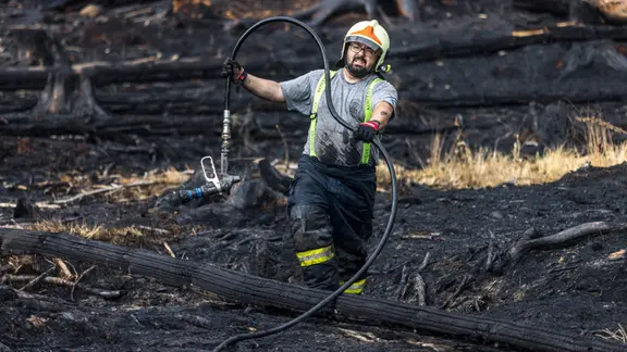 Ein Feuerwehrmann im Einsatz bei einem Waldbrand im Nationalpark Böhmische Schweiz.