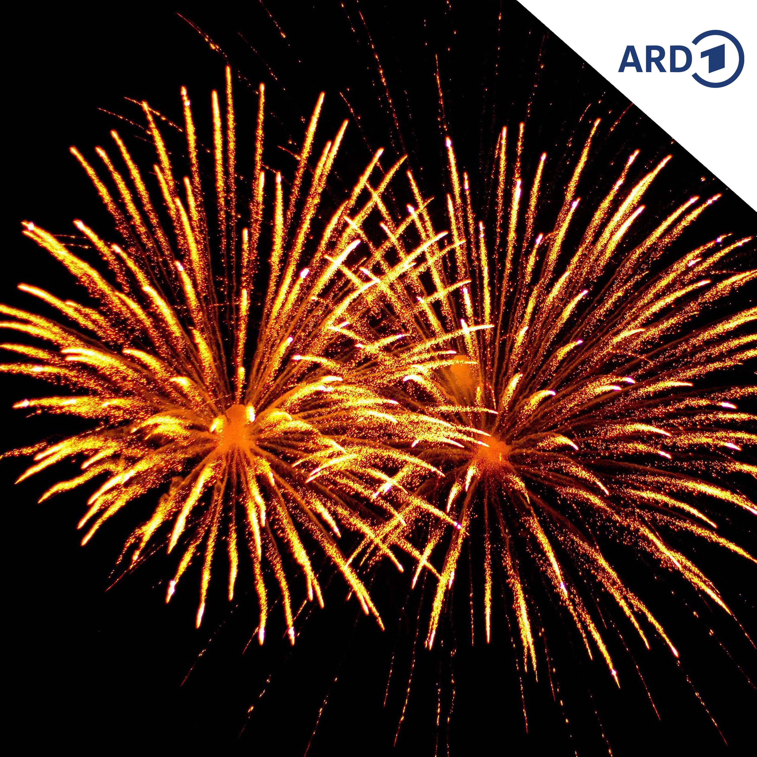 Von großen Konzerten und gemütlichen Hütten-Silvester in Polen und Tschechien episode artwork