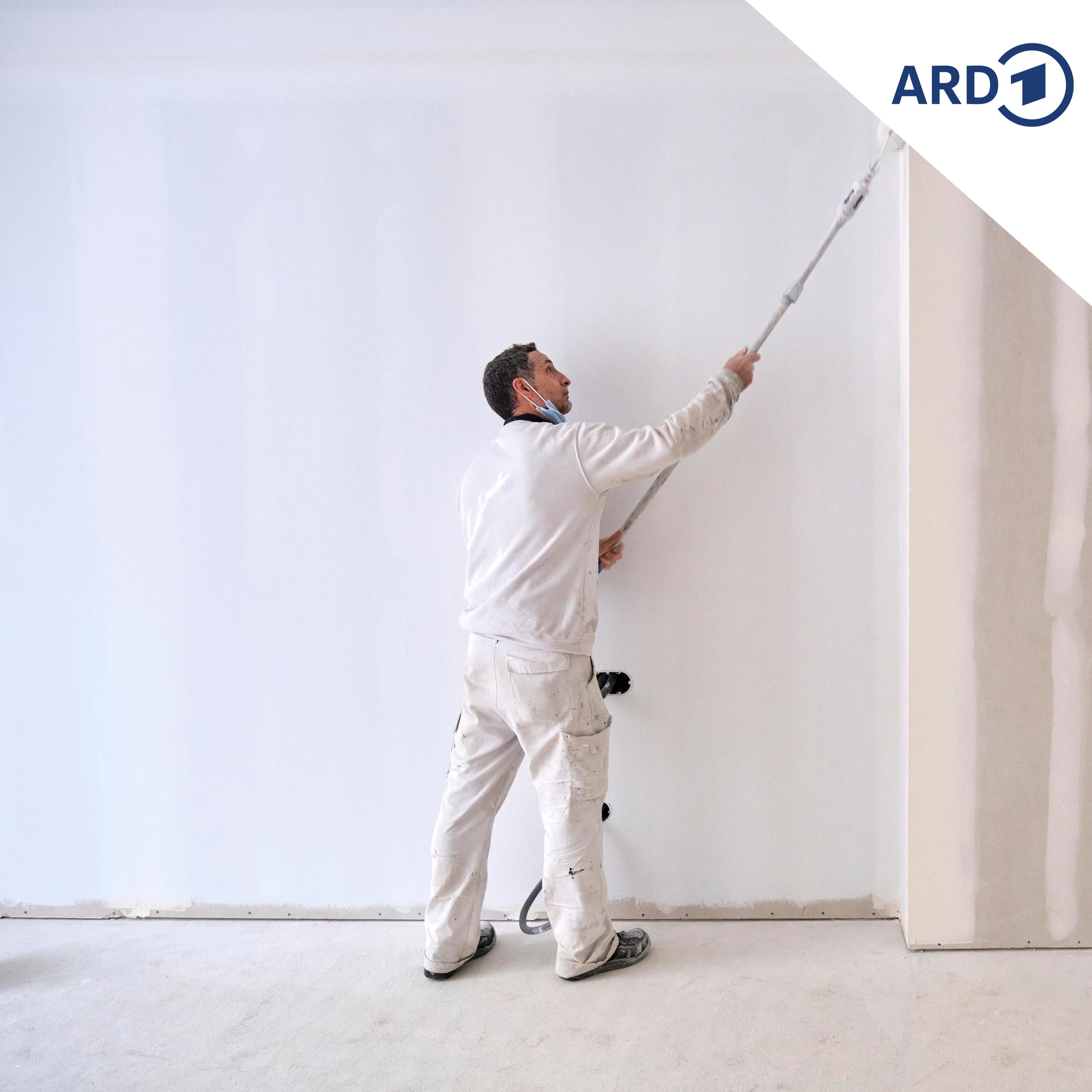 Rechnungshof will Steuerbonus für Handwerkerleistungen streichen episode artwork