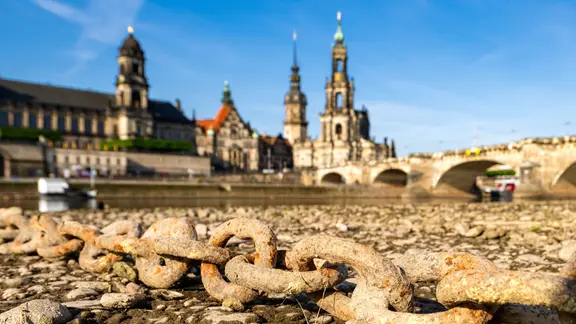 Die Elbe in Dresden ist zu großen Teilen ausgetrocknet.