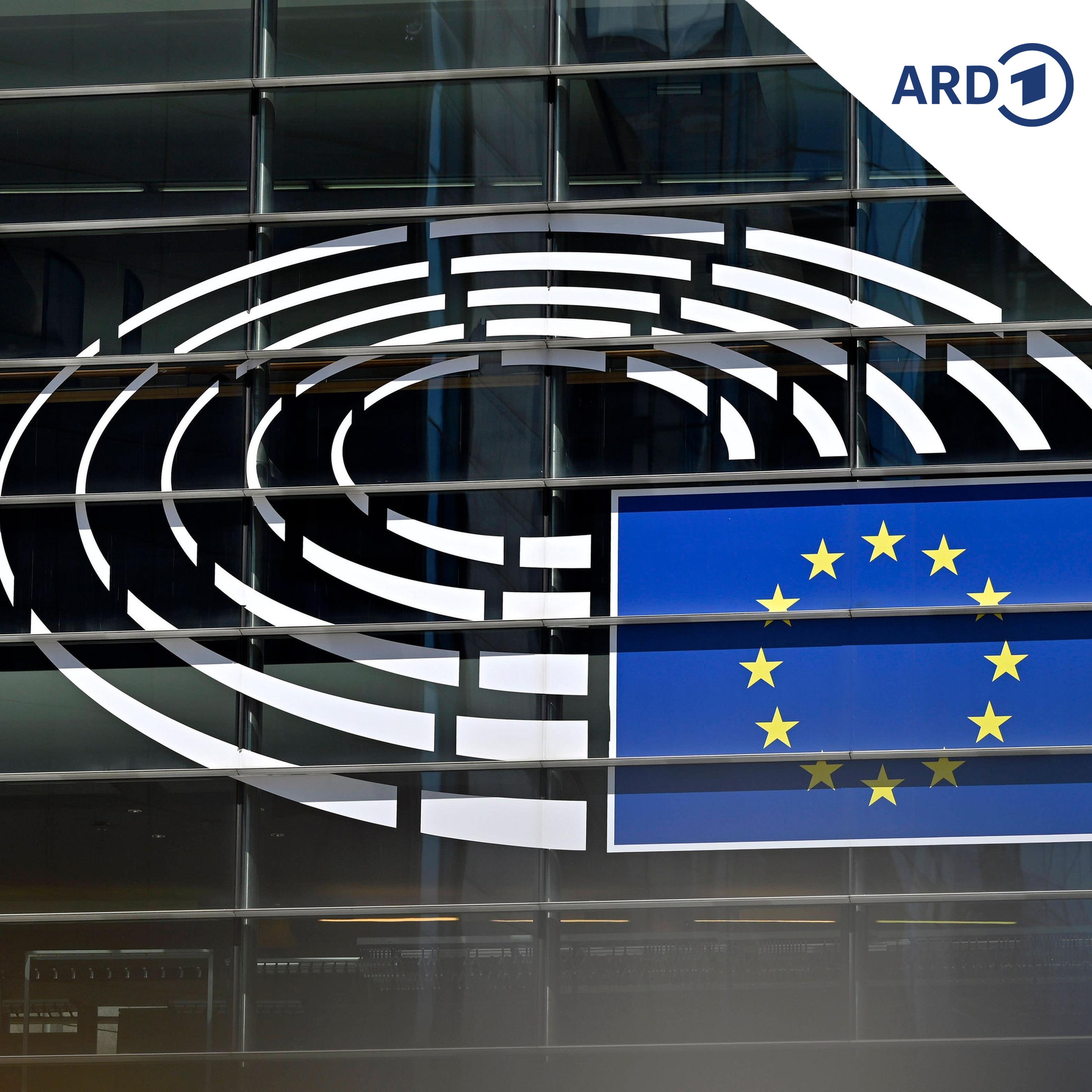 EU-Debatte zu drei Jahren Ukraine-Krieg episode artwork