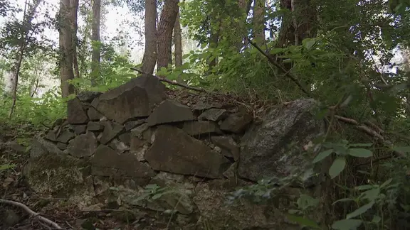 Verlorene Heimat im Wald: Die Geschichte der verschwundenen Dörfer von Königsbrück