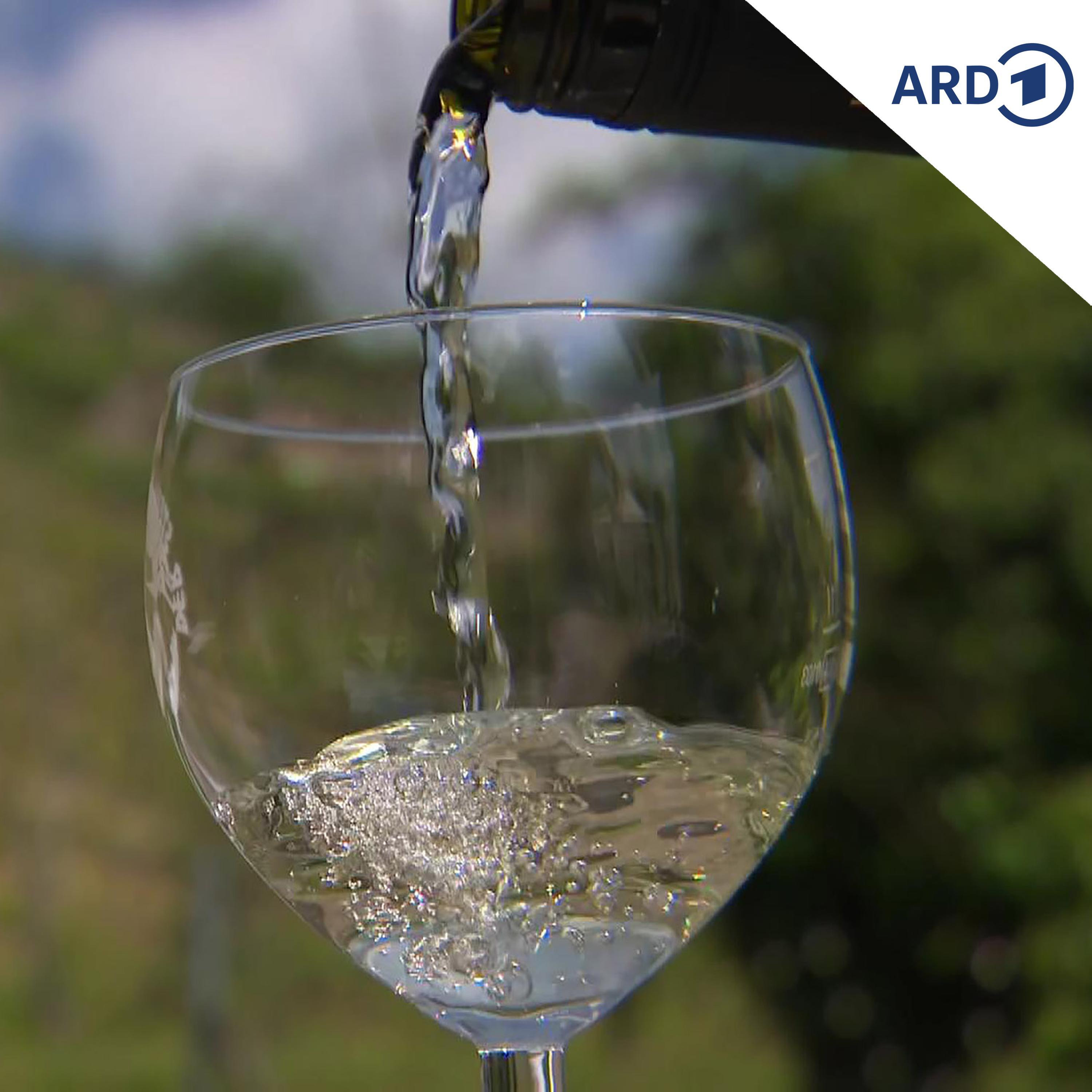 Alkoholsteuerreform: Mediziner gegen Ausnahmen episode artwork