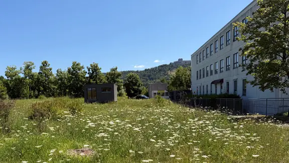 Eine Holzhütte steht auf einer Wiese.