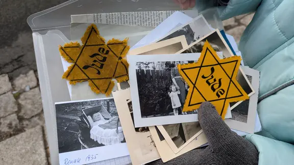 Spektakuläre Sauriererplatte im neuen Zuhause