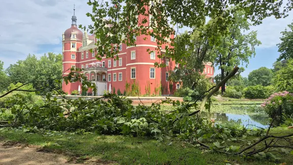 Abgebrochene Äste mit Schloss im Hintergrund