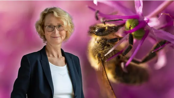 Porträt einer Frau mit blondem, gewellten Haar, Brille und dunkler, blazerartiger Jacke vor einem unscharfen, pink-violetten Blütenhintergrund. Rechts im Bild ist eine Nahaufnahme einer Biene an einer Blüte zu sehen.