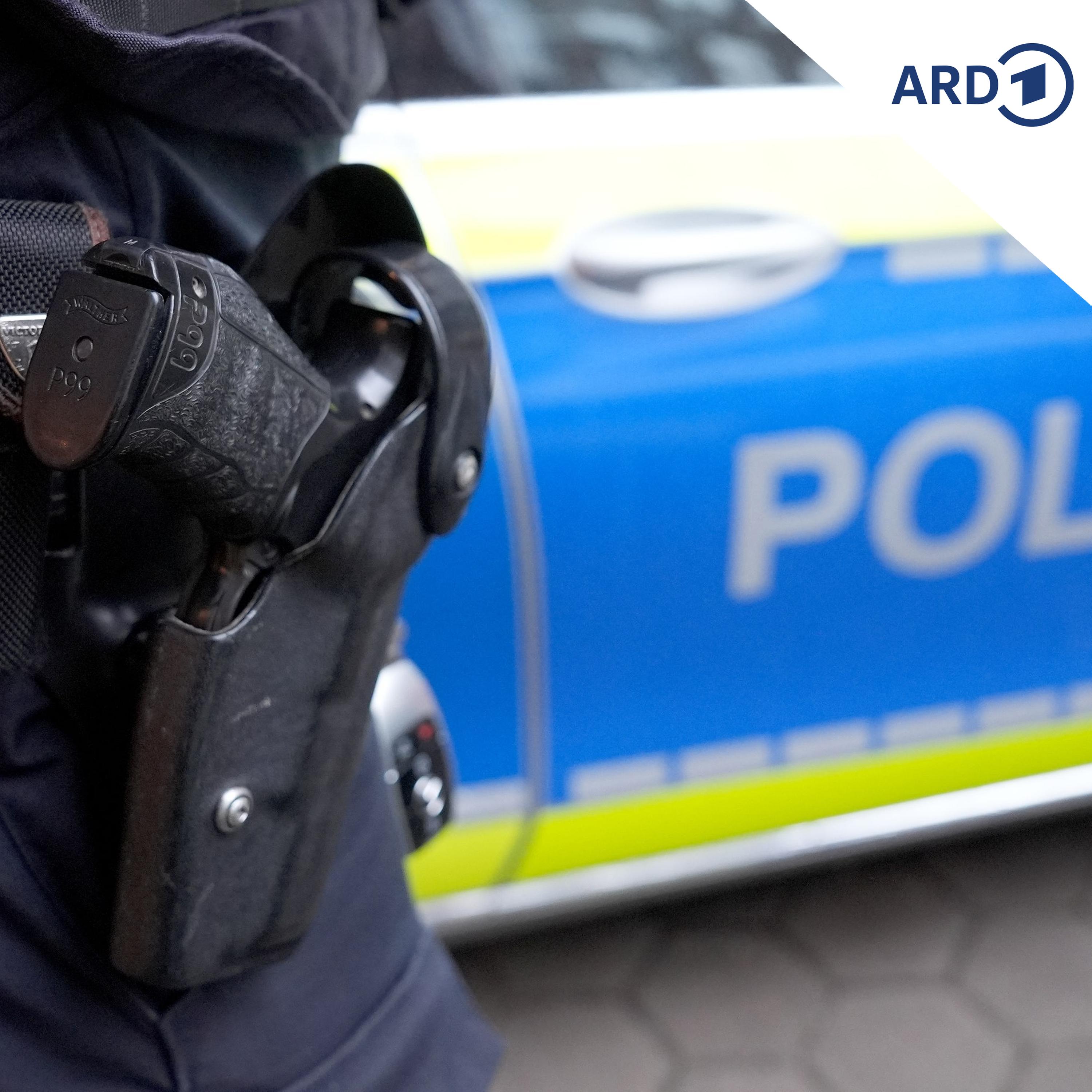 Verbrecherjagd mit Spezialermittlern der Polizei episode artwork