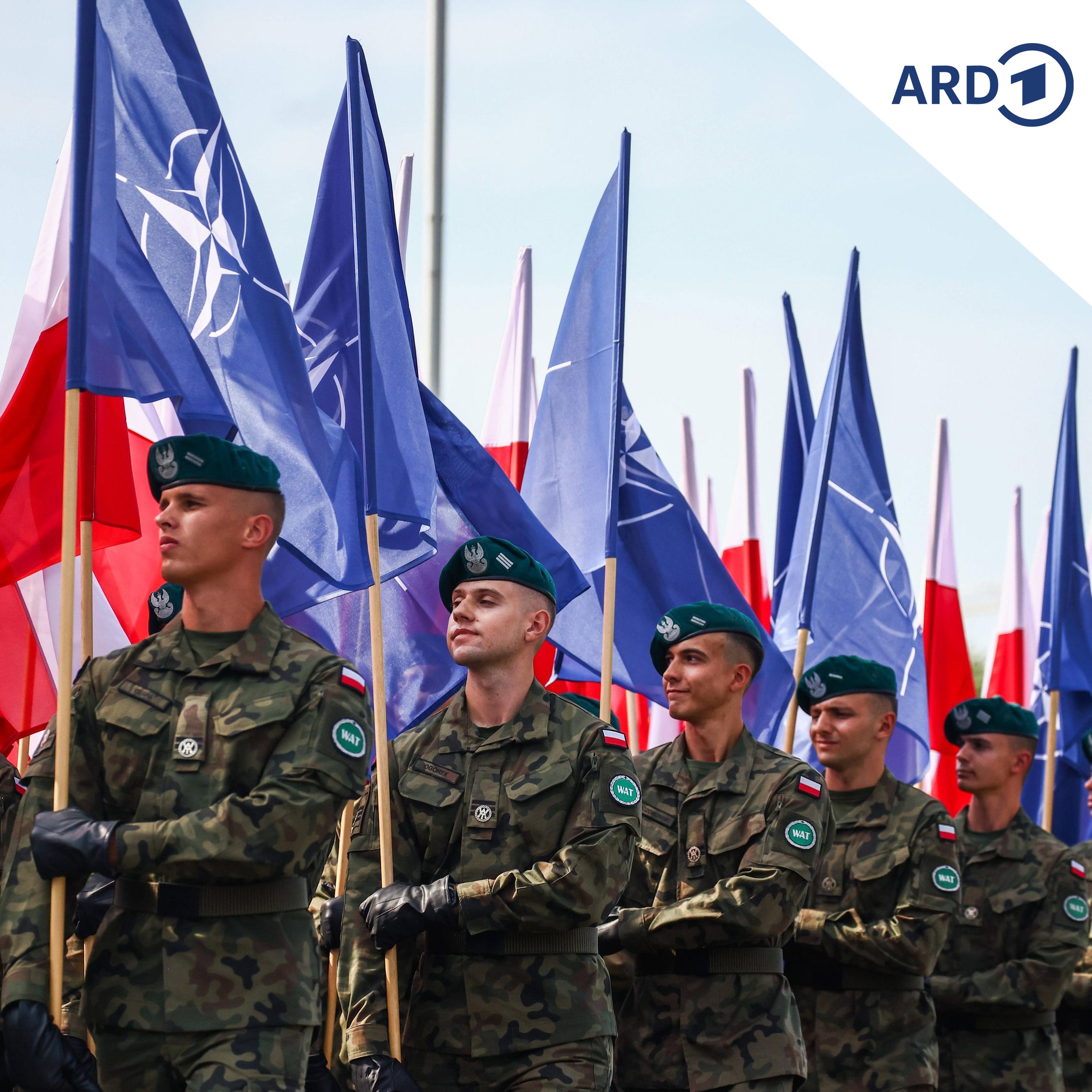 Polen plant militärische Ausbildung für alle episode artwork