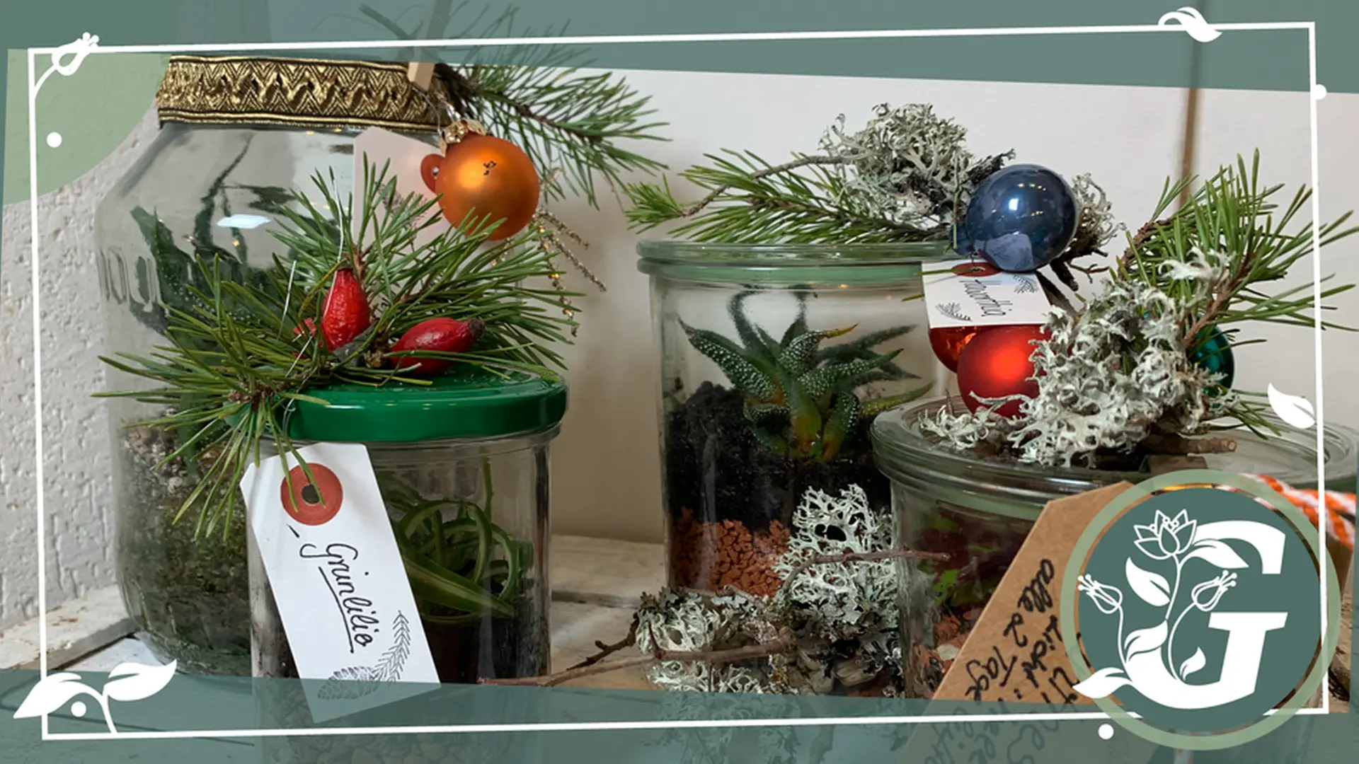 Geschenk-Idee: Ableger von Zimmerpflanzen verschenken | mdr.de