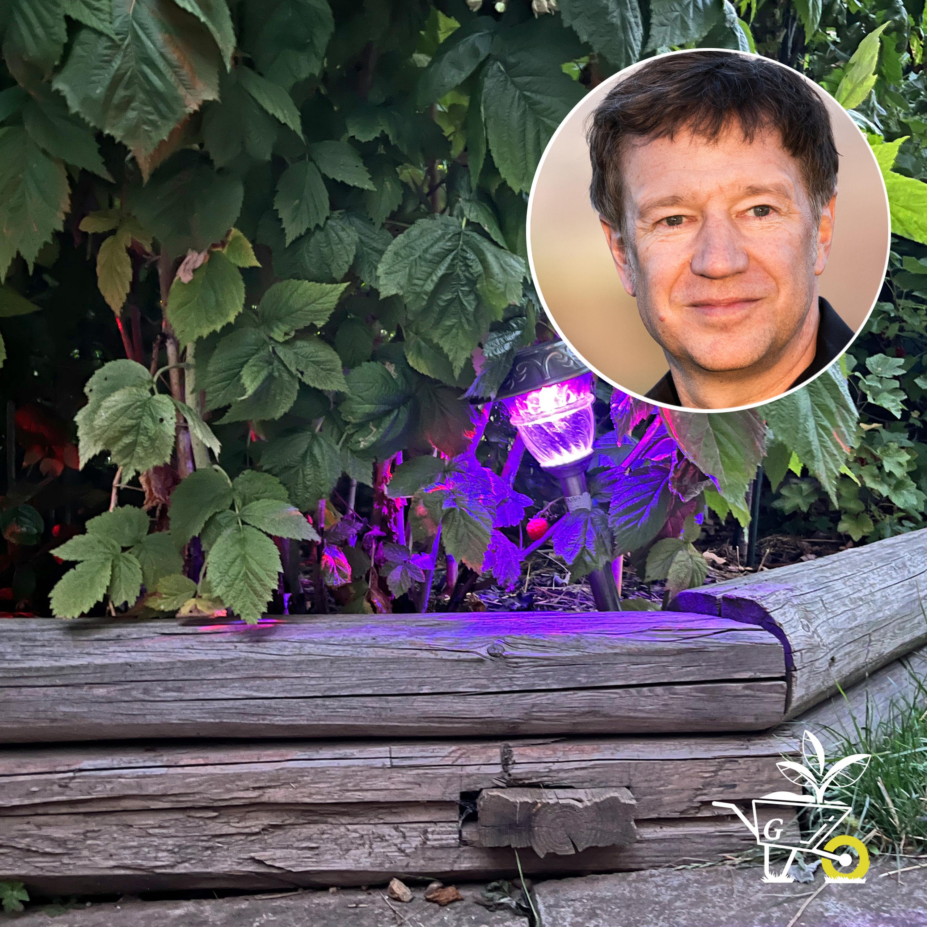 #40: Licht im Garten schadet Insekten episode artwork