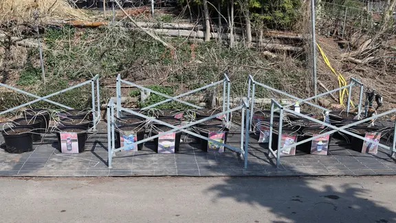 pulver dünger grow 420Flow Grow – Cannabis Wachstumsdünger für starke Pflanzenbasis main image 0