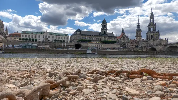 Blick auf das steinige und trockene Ufer der Elbe an den Elbterrassen in Dresden