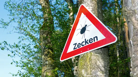 Warnschild Zecken