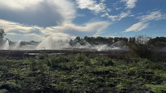Wasser wird auf eine Fläche beim Schwelbrand nahe Meuselwitz gesprüht