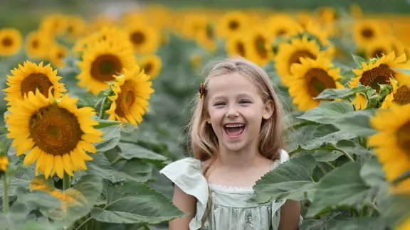 Ein Mädchen zwischen Sonneblumen.