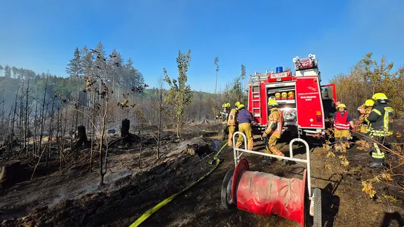 Kräfte der Feuerwehr sind bei einem Brand in einem Waldgebiet im Vogtlandkreis im Einsatz.