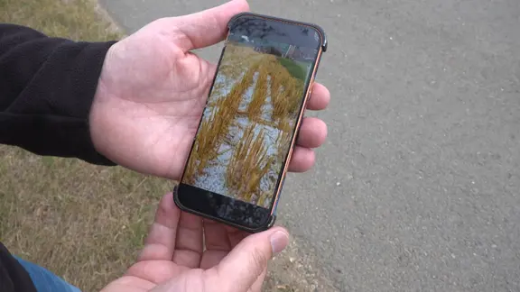Ein Bild von Ernteschäden auf einem Handydisplay