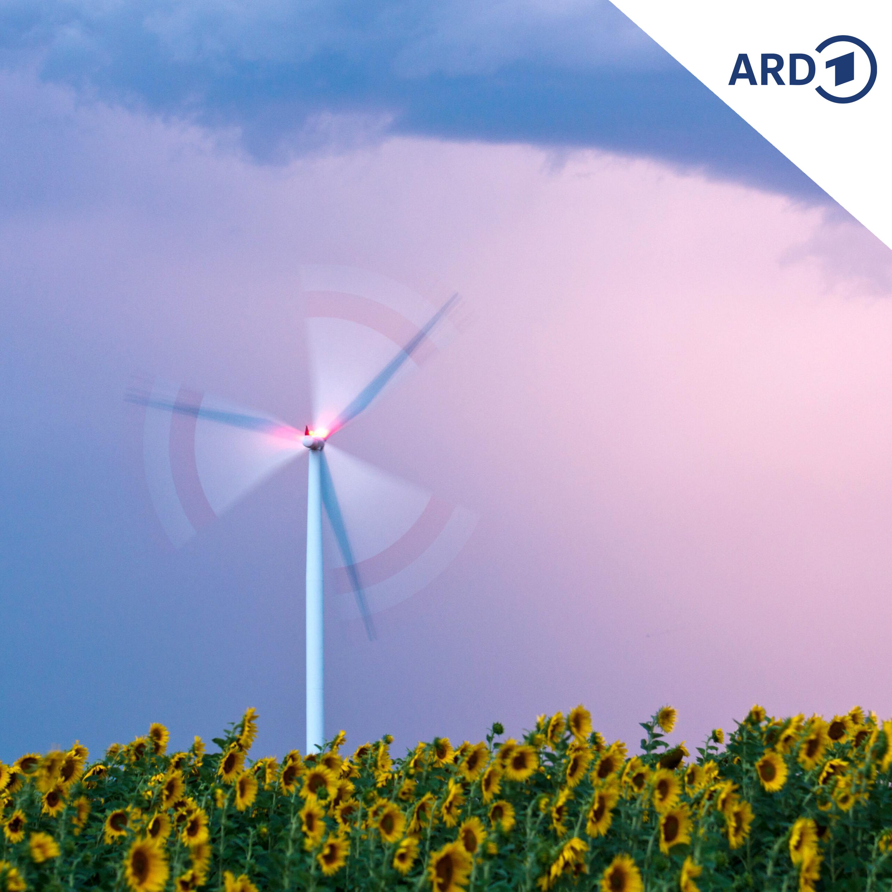 Deutschlands Klimaziele bei Wirtschaftexperten umstritten episode artwork