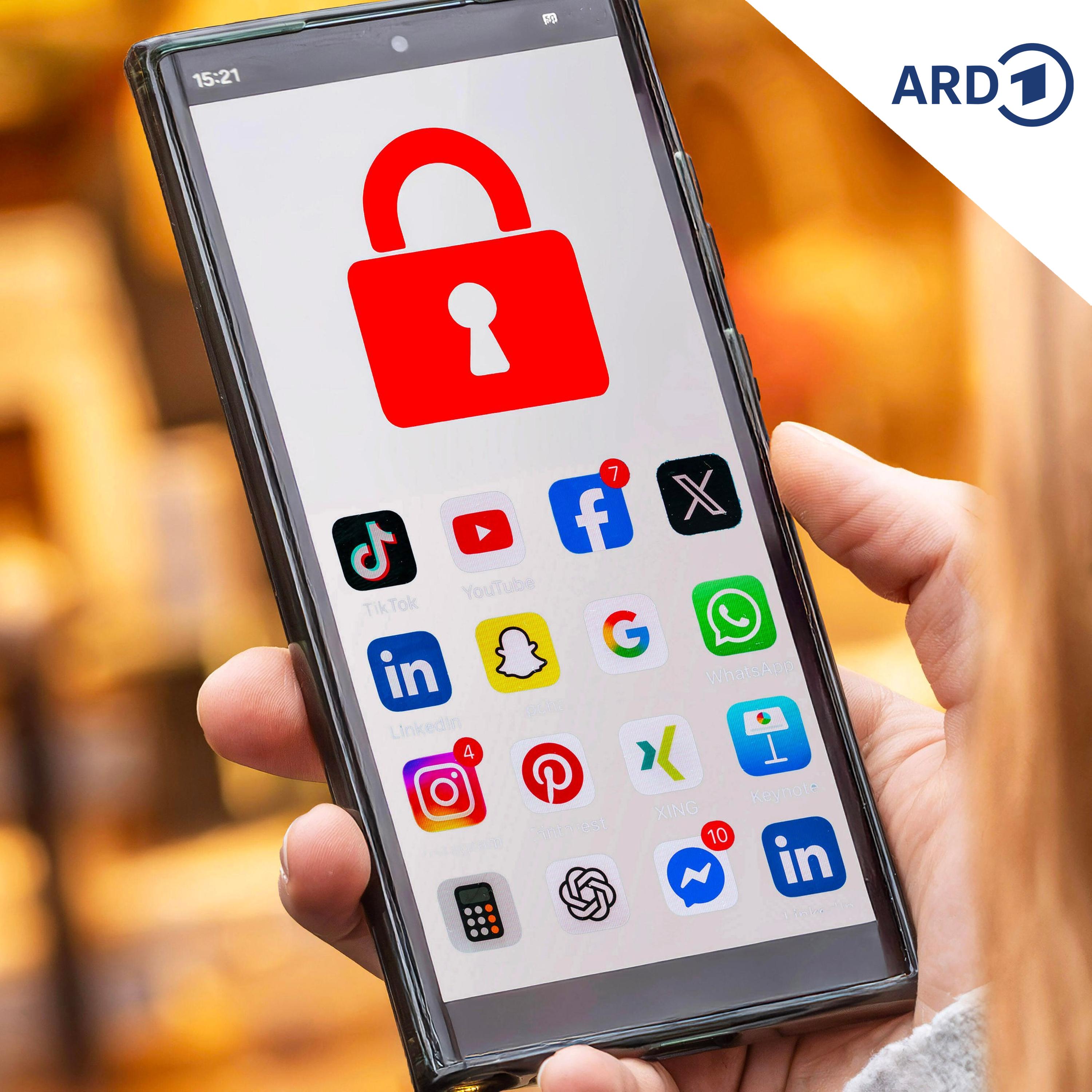 Debatte um Social-Media-Verbot für Minderjährige episode artwork