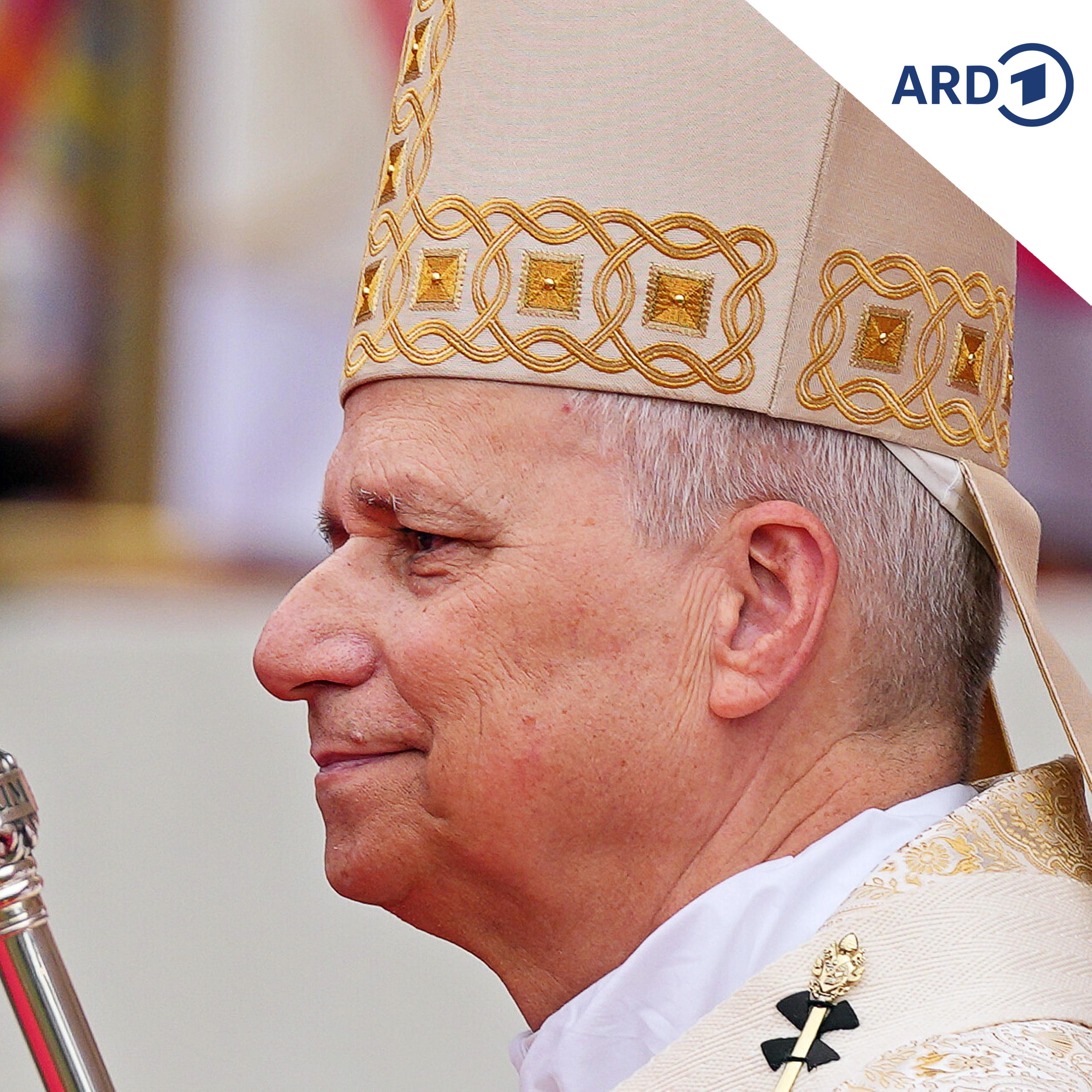 Ein Jahr Papst Leo XIV. – Gegen die Globalisierung der Ohnmacht episode artwork