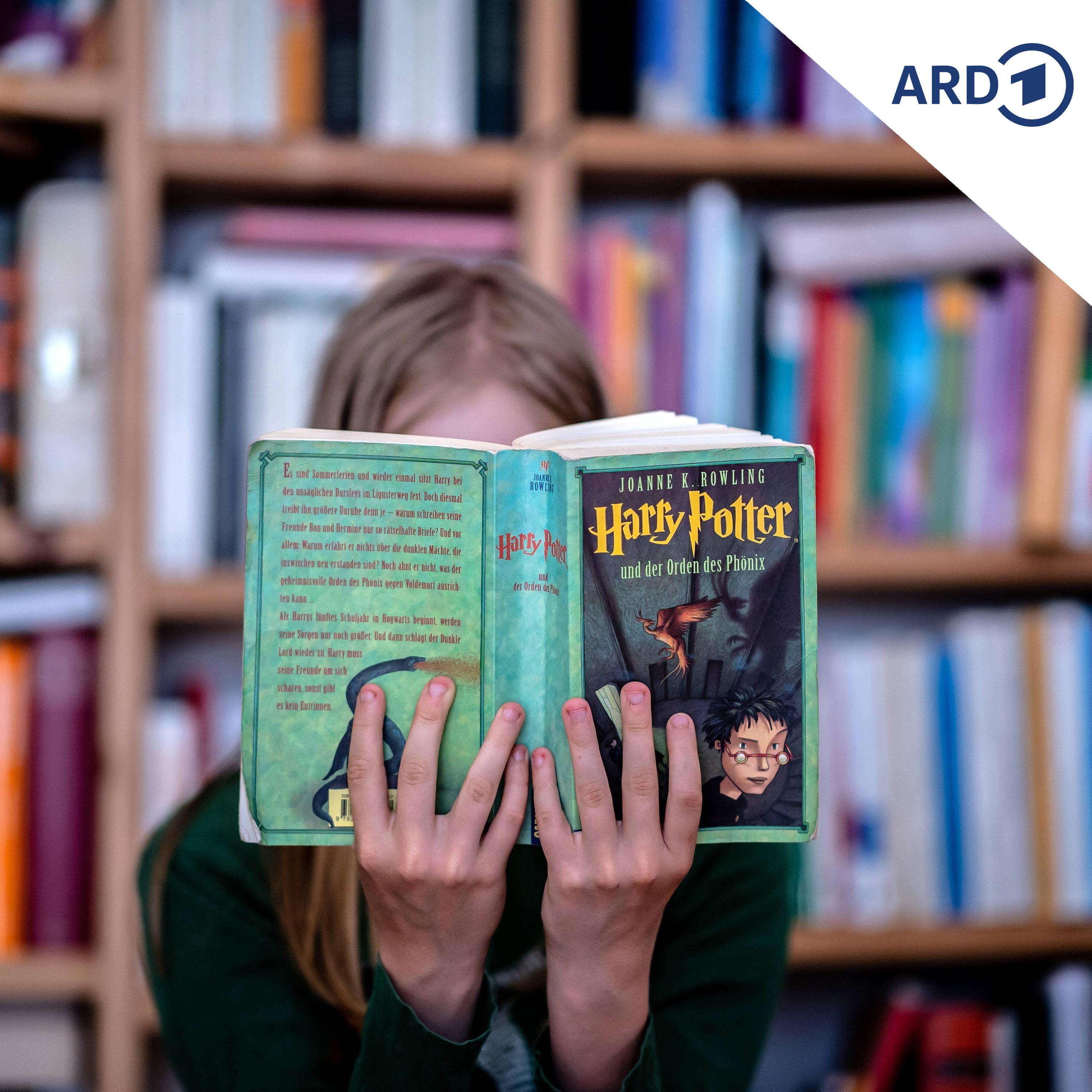 Neue Harry-Potter-Serie erscheint zu Weihnachten episode artwork
