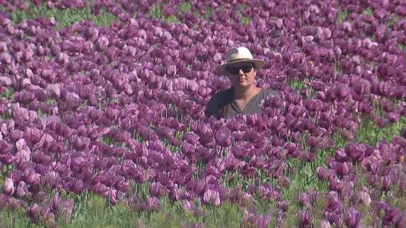 Mann in Mohnblumen