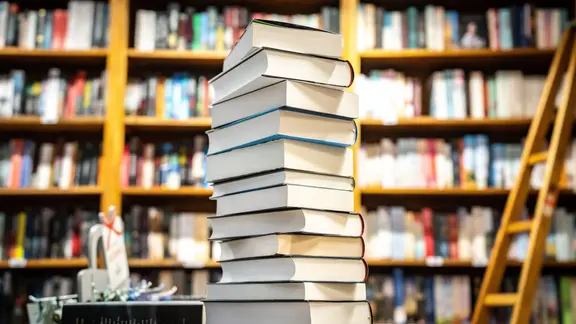 Dunkle Seite der sozialen Medien: Sachsens Jugendliche wählen Buch des Sommers 2026