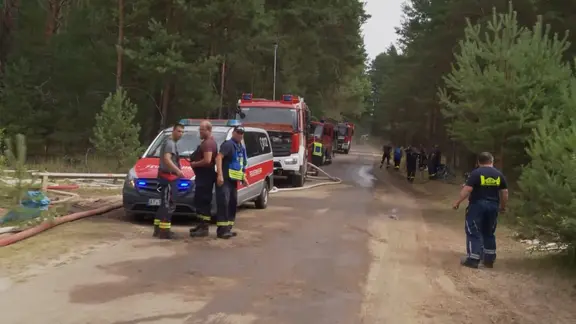 Einsatzkräfte der Feuerwehr auf Straße im Wald.