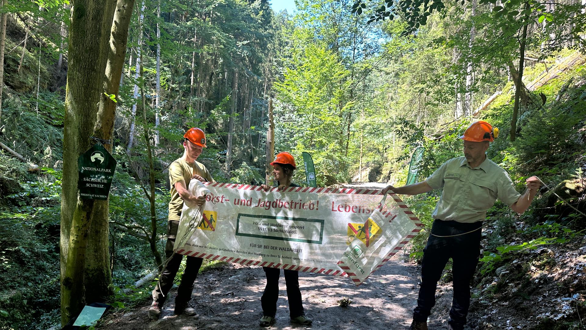 Mitarbeiter von Sachsenforst beseitigen am 14.8.2026 ein Banner, das den Wanderweg absperrte. | Wiebke Müller