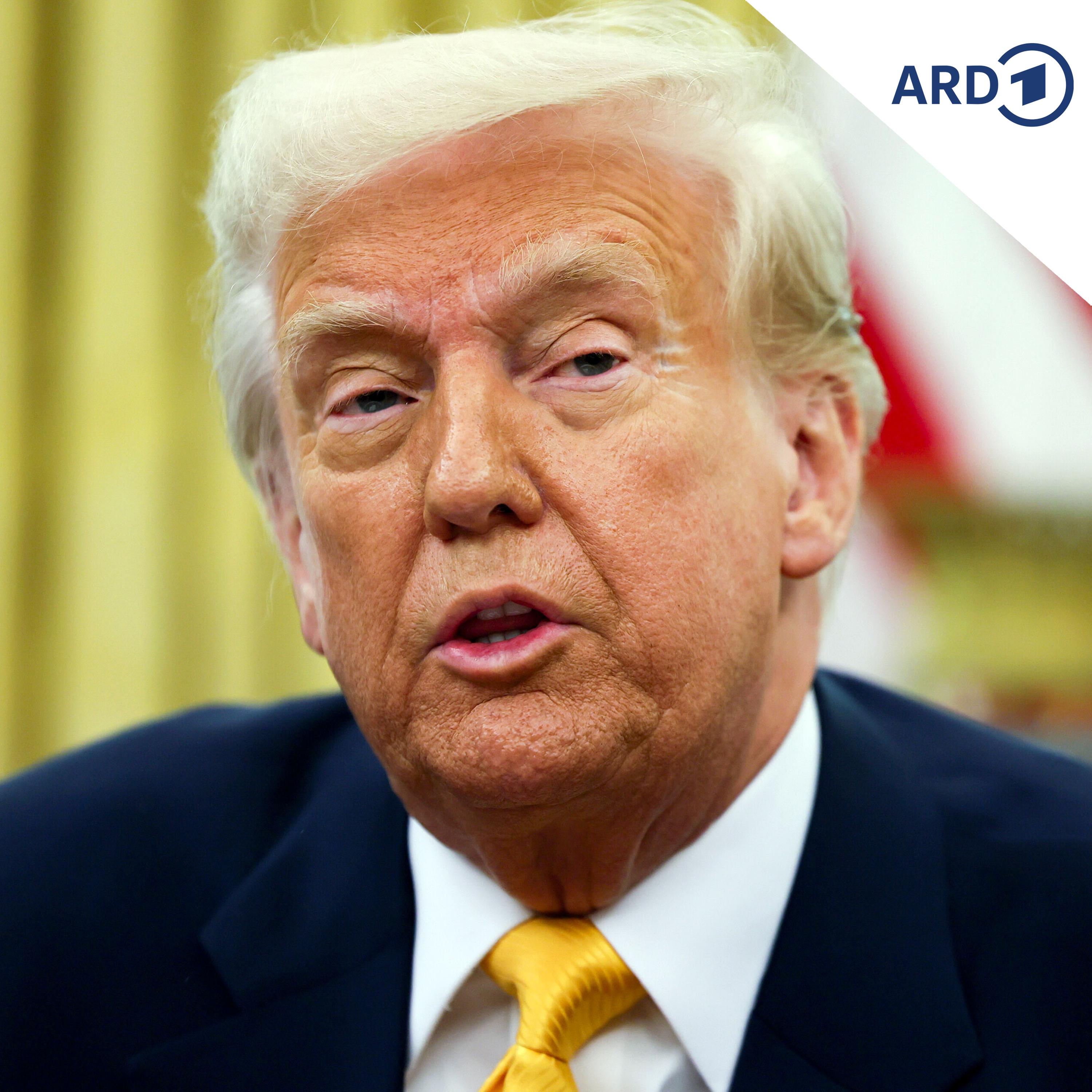 Trump verteidigt Ergebnisse des Gesprächs mit Putin episode artwork