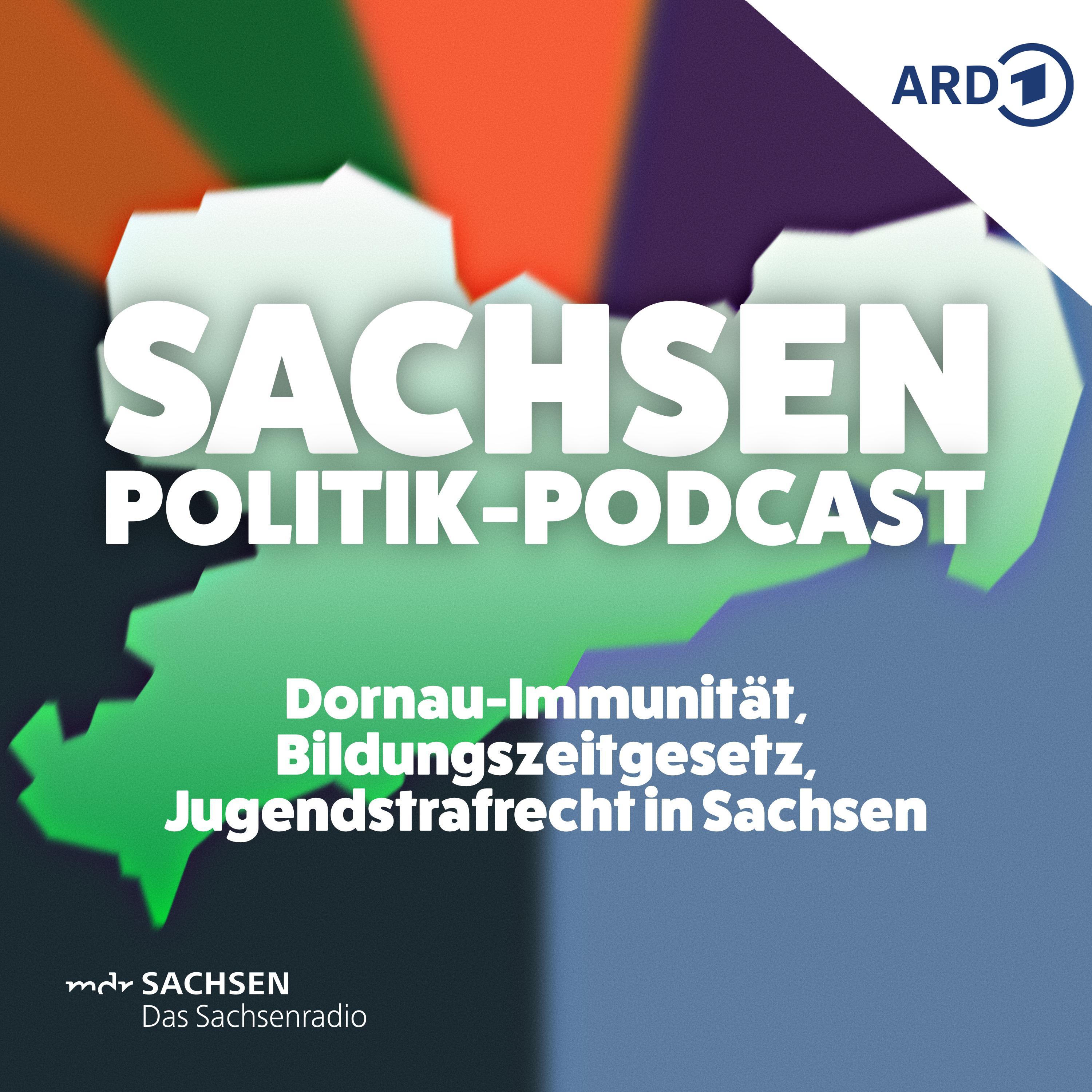 Dornau-Immunität, Bildungszeitgesetz, Jugendstrafrecht in Sachsen episode artwork