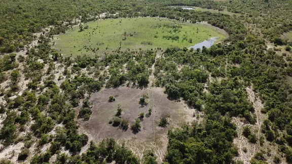 Feenkreis im São Francisco Becken in Brasilien