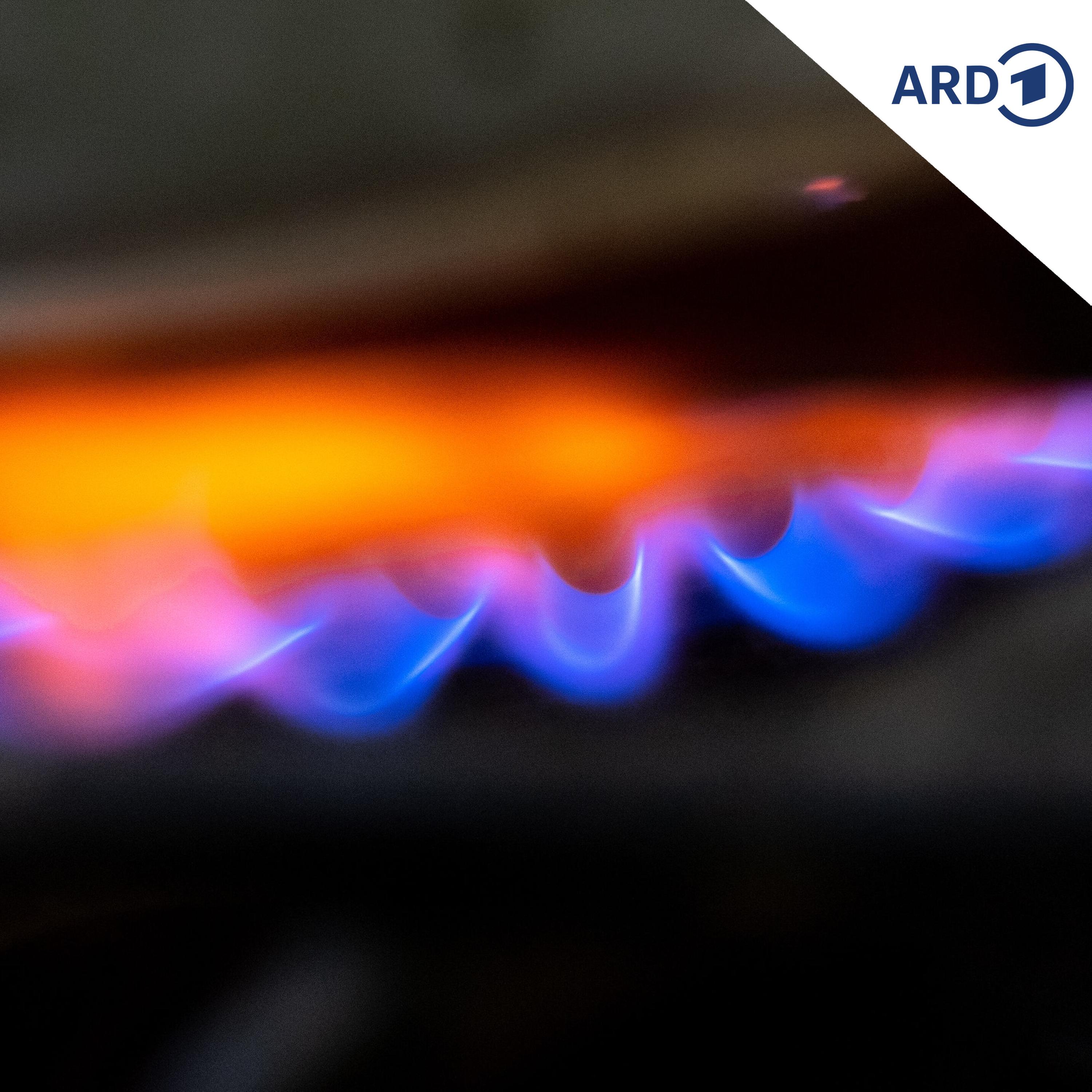 Niedriger Gasspeicherstand: Muss man sich Sorgen machen? episode artwork