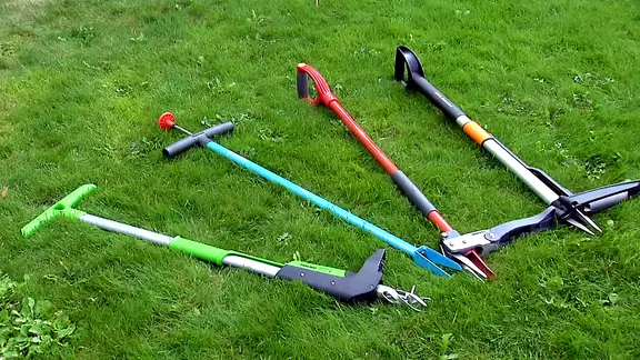 Rasen im Garten anlegen, dngen und richtig pflegen | mdr.de