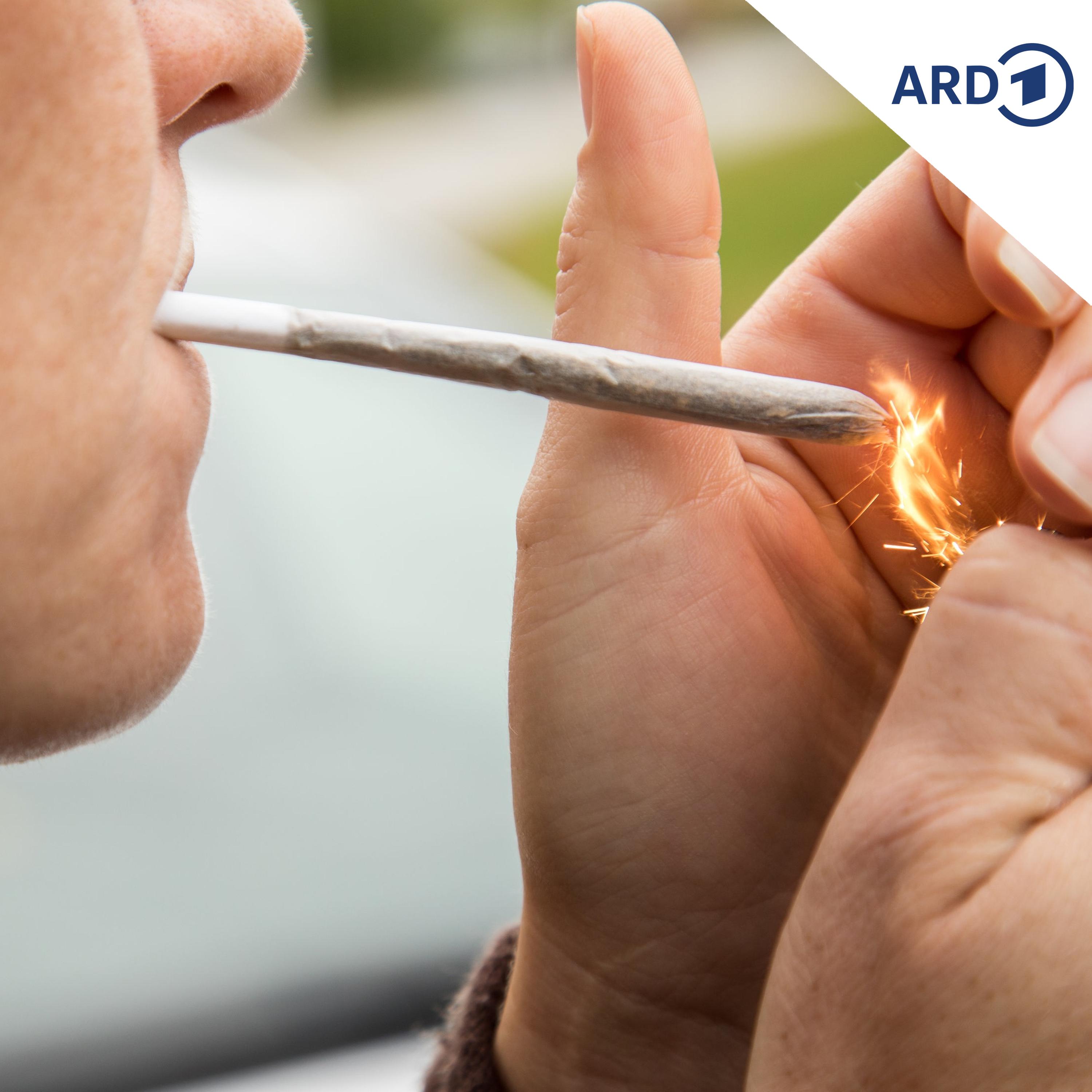 SPUTNIK Mailbox: Cannabis Legalisierung